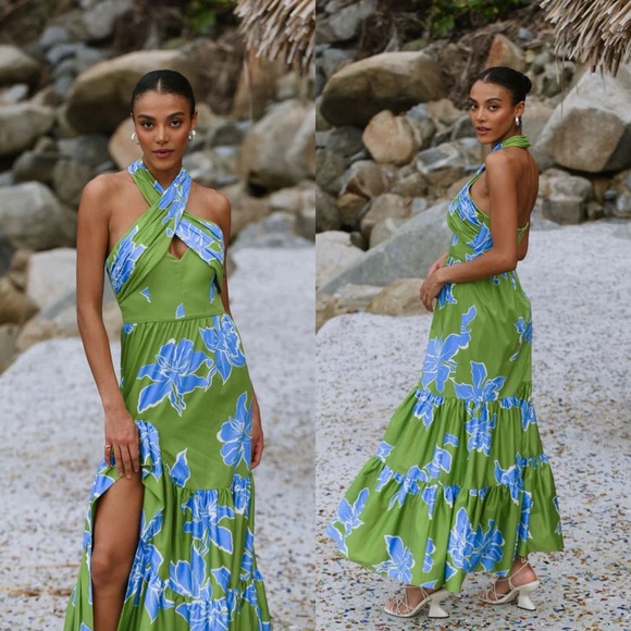 NWT Anthropologie Hutch Joslin Halter Floral Maxi Dress - Picture 2 of 11